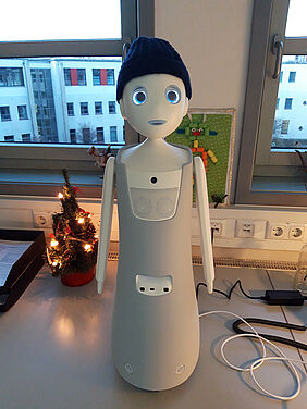 Social robot navel
